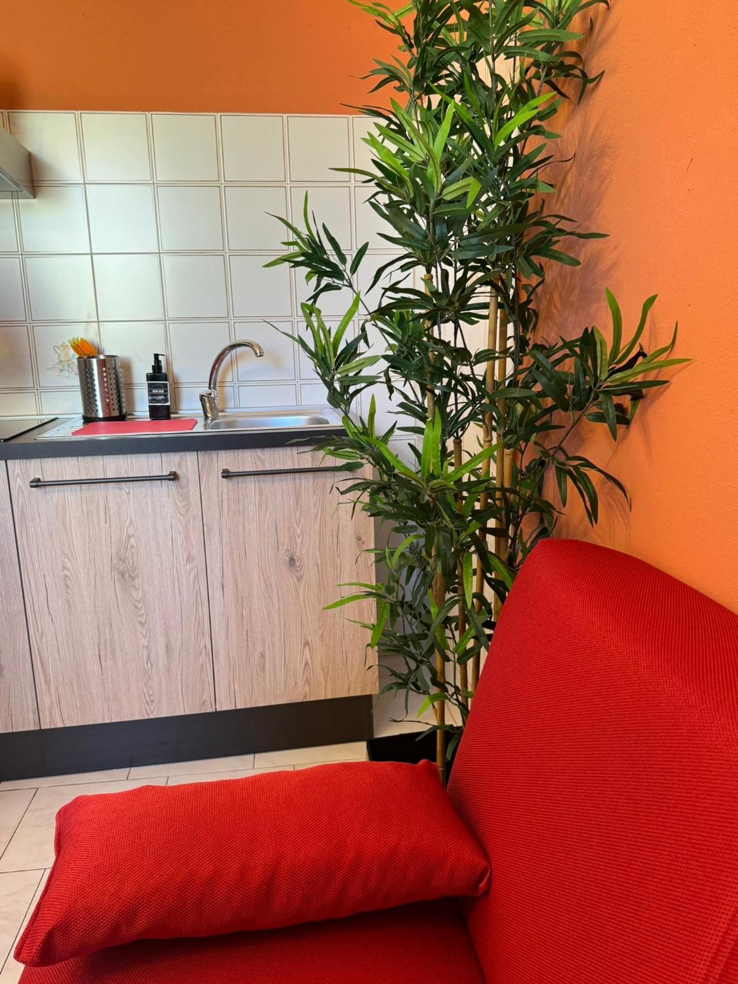 Colben Tuscany Home - Il Mare Dalla Finestra Nell'Atmosfera Tipica Livornese Livorno Esterno foto